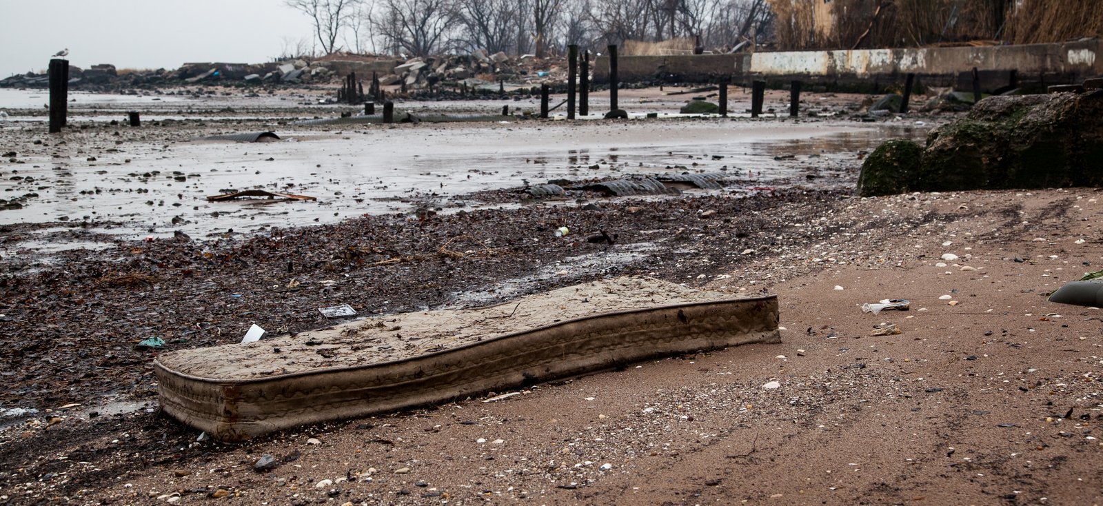 art-of-sandy-mo-staten island 2-78.jpg